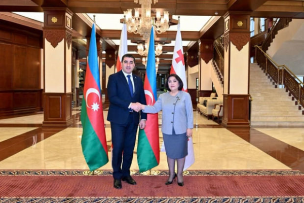 Şalva Papuaşvili: “Gələn ilin fevralında Azərbaycanda keçiriləcək prezident seçkisi tarixi seçkidir”